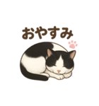 コロニャンコ（個別スタンプ：3）