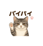 コロニャンコ（個別スタンプ：4）