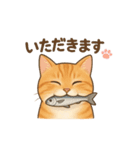 コロニャンコ（個別スタンプ：5）