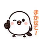 シマちゃん：その1（個別スタンプ：5）