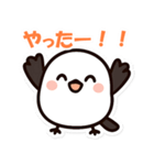 シマちゃん：その1（個別スタンプ：6）
