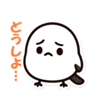 シマちゃん：その1（個別スタンプ：8）