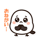 シマちゃん：その1（個別スタンプ：10）