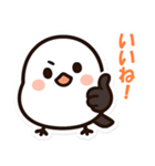 シマちゃん：その1（個別スタンプ：11）