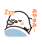 シマちゃん：その1（個別スタンプ：12）