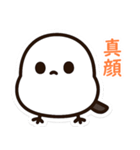 シマちゃん：その1（個別スタンプ：16）