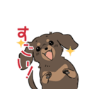 ミニチュアダックス・チョコタン（個別スタンプ：3）