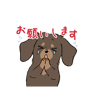 ミニチュアダックス・チョコタン（個別スタンプ：5）