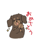 ミニチュアダックス・チョコタン（個別スタンプ：7）