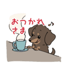 ミニチュアダックス・チョコタン（個別スタンプ：10）
