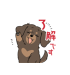 ミニチュアダックス・チョコタン（個別スタンプ：12）