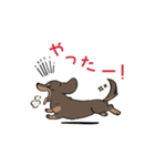 ミニチュアダックス・チョコタン（個別スタンプ：14）