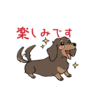 ミニチュアダックス・チョコタン（個別スタンプ：16）