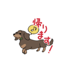 ミニチュアダックス・チョコタン（個別スタンプ：23）