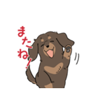 ミニチュアダックス・チョコタン（個別スタンプ：26）