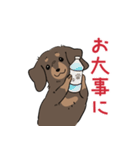 ミニチュアダックス・チョコタン（個別スタンプ：27）