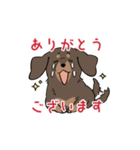 ミニチュアダックス・チョコタン（個別スタンプ：38）