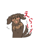 ミニチュアダックス・チョコタン（個別スタンプ：39）