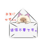 ヨーキーのクスッとするスタンプ（個別スタンプ：17）