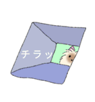 ヨーキーのクスッとするスタンプ（個別スタンプ：24）