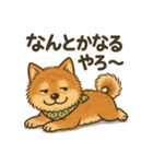 やさぐれ柴犬＆豆柴 - 気分スタンプ（個別スタンプ：17）