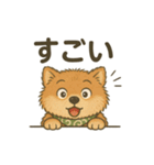 やさぐれ柴犬＆豆柴 - 気分スタンプ（個別スタンプ：25）