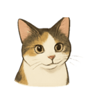 三毛猫の表情図鑑（個別スタンプ：1）