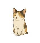 三毛猫の表情図鑑（個別スタンプ：7）