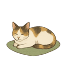 三毛猫の表情図鑑（個別スタンプ：8）