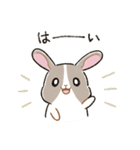 もちもちパンダうさぎ（個別スタンプ：1）