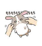 もちもちパンダうさぎ（個別スタンプ：2）