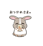 もちもちパンダうさぎ（個別スタンプ：7）