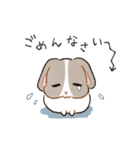 もちもちパンダうさぎ（個別スタンプ：9）