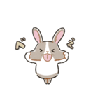 もちもちパンダうさぎ（個別スタンプ：10）