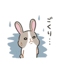 もちもちパンダうさぎ（個別スタンプ：11）