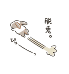 もちもちパンダうさぎ（個別スタンプ：14）