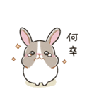 もちもちパンダうさぎ（個別スタンプ：15）