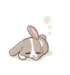 もちもちパンダうさぎ（個別スタンプ：16）