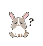 もちもちパンダうさぎ（個別スタンプ：17）