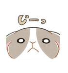 もちもちパンダうさぎ（個別スタンプ：21）