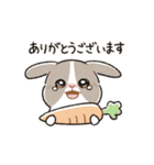 もちもちパンダうさぎ（個別スタンプ：25）