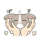 もちもちパンダうさぎ（個別スタンプ：31）