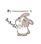 もちもちパンダうさぎ（個別スタンプ：35）