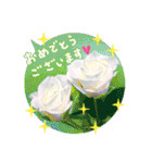 おめでとうセット再編集（個別スタンプ：5）
