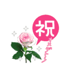おめでとうセット再編集（個別スタンプ：21）