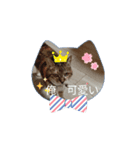 ニャんちゃんのスタンプ！（個別スタンプ：1）