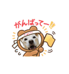 可愛い犬のこむぎちゃん（個別スタンプ：6）