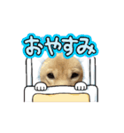 可愛い犬のこむぎちゃん（個別スタンプ：9）