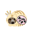 可愛い犬のこむぎちゃん（個別スタンプ：10）