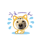 可愛い犬のこむぎちゃん（個別スタンプ：14）